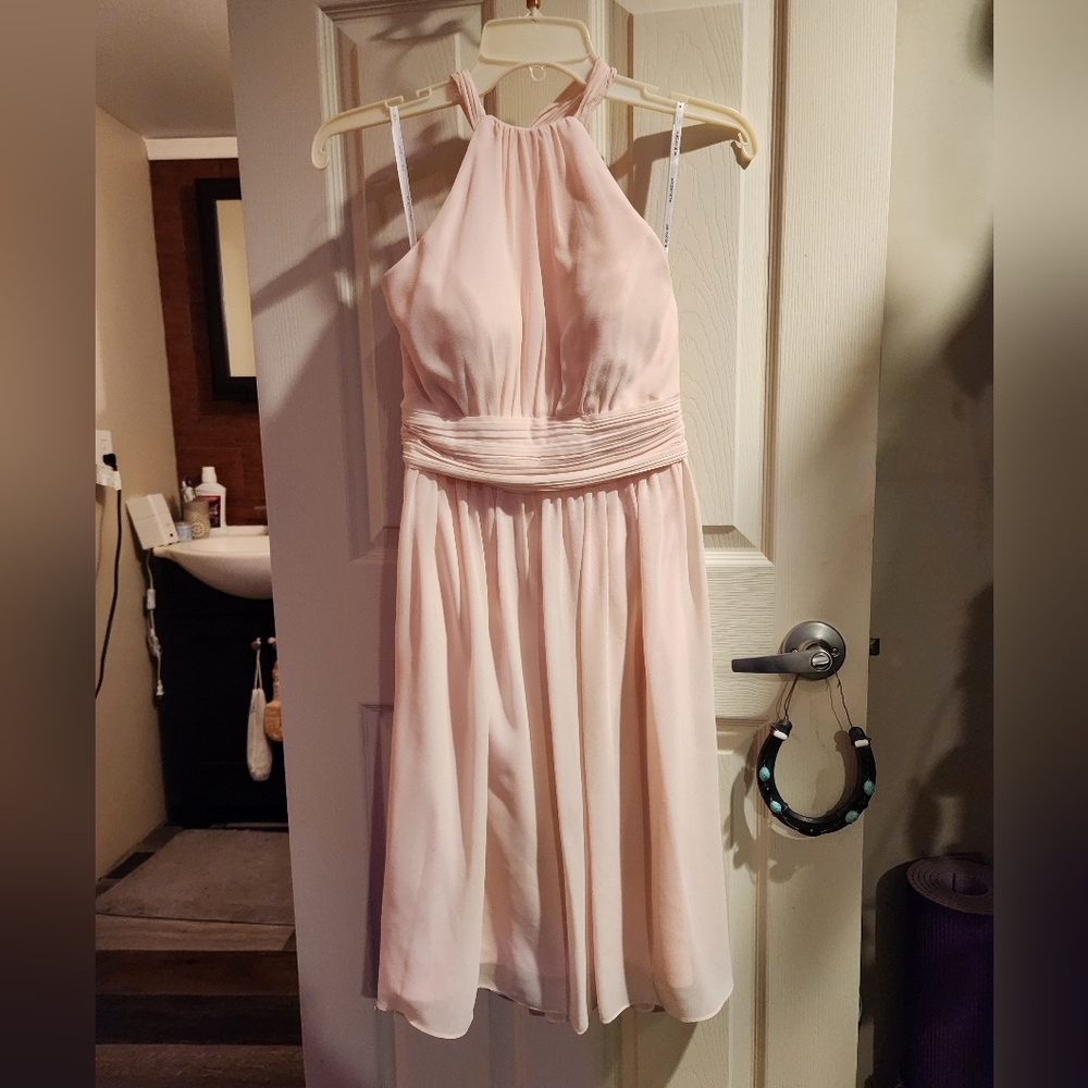 Bill Levkoff Strapless Blush Dress